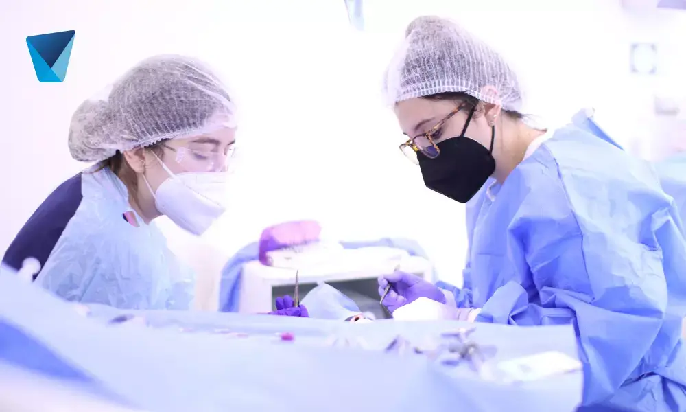 Día Mundial de la Salud 2020: Una conmemoración histórica y de sanidad