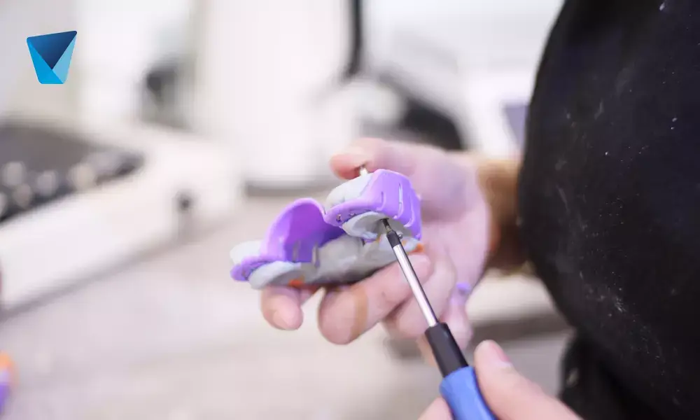 Imagen destacada del artículo: Anatomía de odontología: Todo lo que debes saber sobre los dientes permanentes