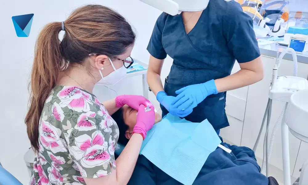 Etapas de la formación de las piezas de dientes